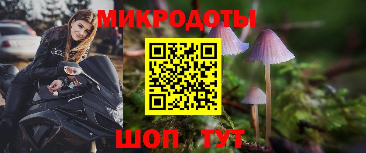 Галлюциногенные грибы Psilocybe Саранск