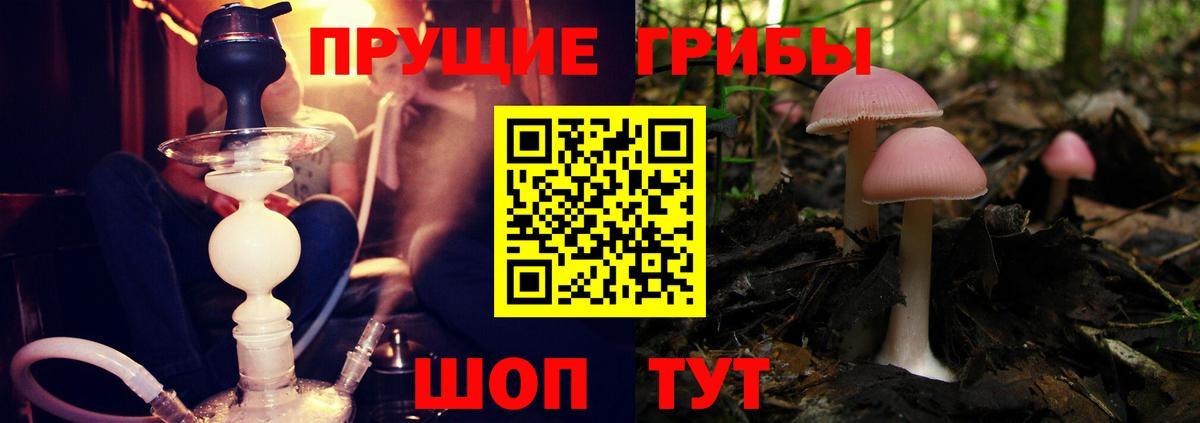 Псилоцибиновые грибы мицелий  Вход с VPN  где найти наркотики  Псилоцибиновые грибы Cubensis  Саранск 